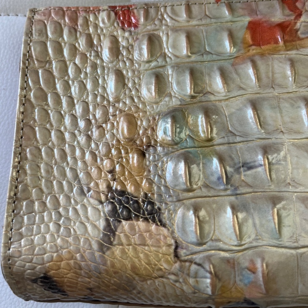 BRAHMIN - Picture 3 of 14